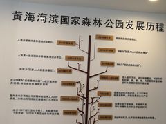 -黄海国家森林公园