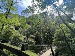 -青城山