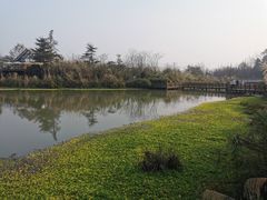 -桤木河湿地公园