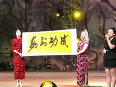 -灵玲国际马戏城