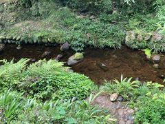 -凤栖山