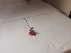 -7天连锁酒店(上海徐家汇龙华路地铁站店)