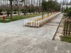 -前小桔亲子创意农场·草莓采摘·露营烧烤