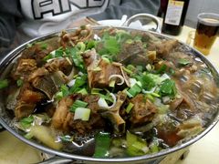 红烧羊肉煲-苏州藏书羊肉馆(安顺路店)