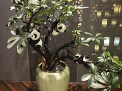 -新廊桥(原科华廊桥店)