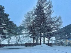 -轻井泽王子购物广场