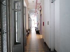 -胡志明市美术馆