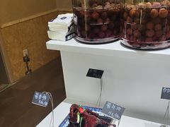 -四季轩中餐厅·萧山味道·运河家宴(三立开元名都店)