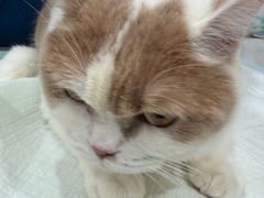 -贝利宠物医院·骨科·眼科·肿瘤转诊中心(南坪诊疗中心)