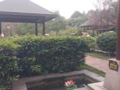 -咸宁万豪温泉谷度假区