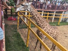 -威海华夏城景区