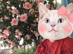 -玉玲珑(陆家嘴店)