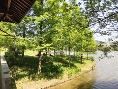 -浙江农林大学(东湖校区)