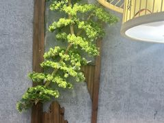 -叁煨蹄花·下饭盐帮菜(人民广场店)