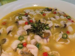 -青花椒花椒鱼(合生汇店)