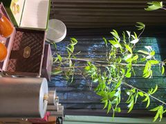 -王府茶宴·创意菜(大观园总店)