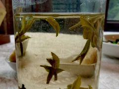 -楼外楼(西湖景区孤山路店)