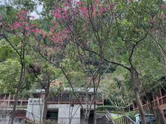 -太鲁阁公园