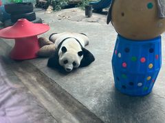 -石家庄市动物园