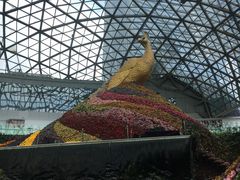 -花之城