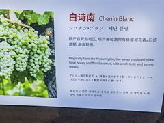 -青岛葡萄酒博物馆