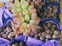 -马陆小张葡萄园农家乐