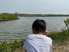 -春花秋色城市公园