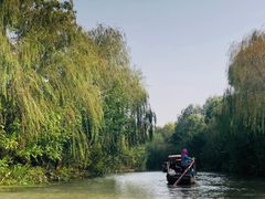 -溱湖国家湿地公园