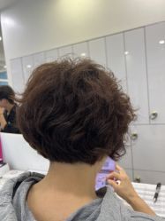 -YESIDO椰岛造型
