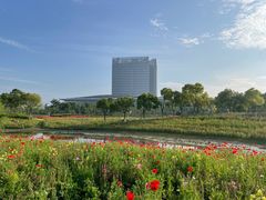 -春花秋色城市公园