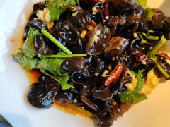 -洞庭家宴·头牌甲鱼(广渠门店)