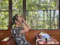 -合肥滨湖国家森林公园