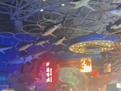 -烟台海昌鲸鲨海洋公园