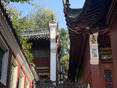 -武汉长春观