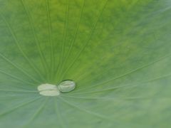 -漩门湾国家湿地公园