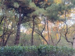 -北陵公园