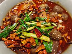 -新吉士·上海菜(浦东LCM置汇旭辉店)