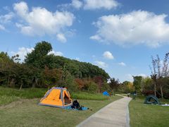 -昆山城市生态森林公园