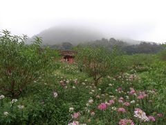 -广州市石门国家森林公园