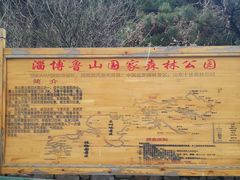 -鲁山国家森林公园