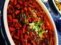 -院8里·小乐园家常味川菜(鹭洲里店)