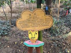 -呀路古热带植物园