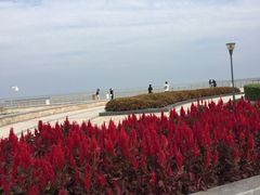 -东疆建设开发纪念公园