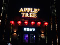 门面-苹果树下艺术餐厅(宋庄店)