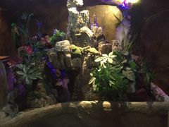 -醉小酒馆·川菜·江湖菜·重庆菜(观音桥旗舰店)