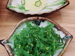 -一本钓鲔鱼屋
