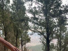 -佛慧山