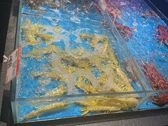 -徐记海鲜(大雁塔|金都店)
