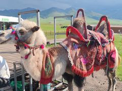 -新疆那拉提国家旅游度假区