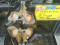 -蚝专家(北滘店)